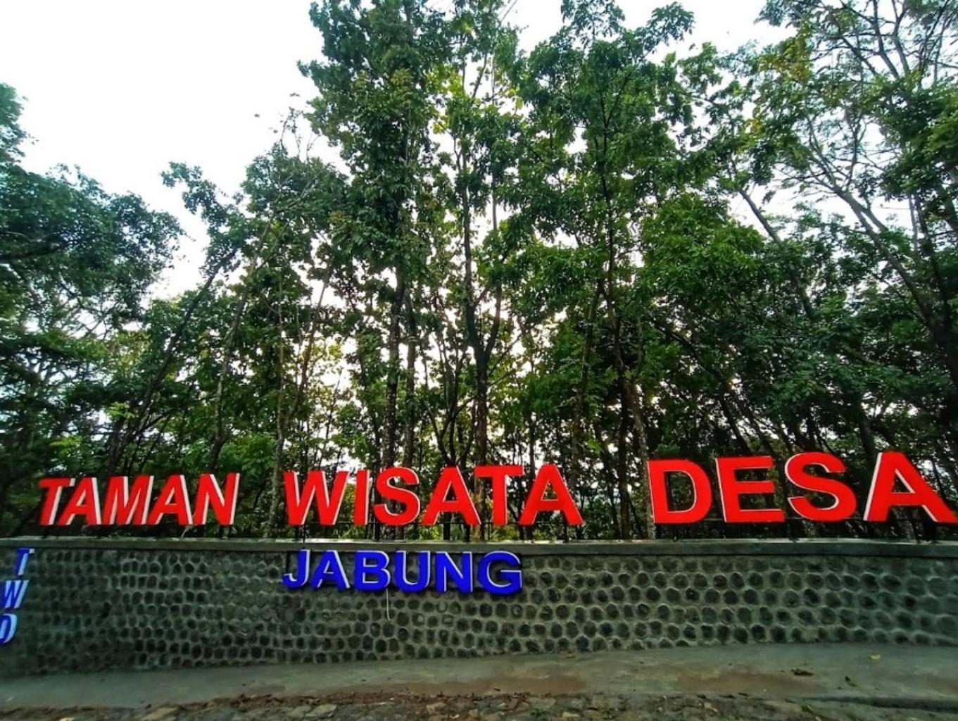 Twd Jabung