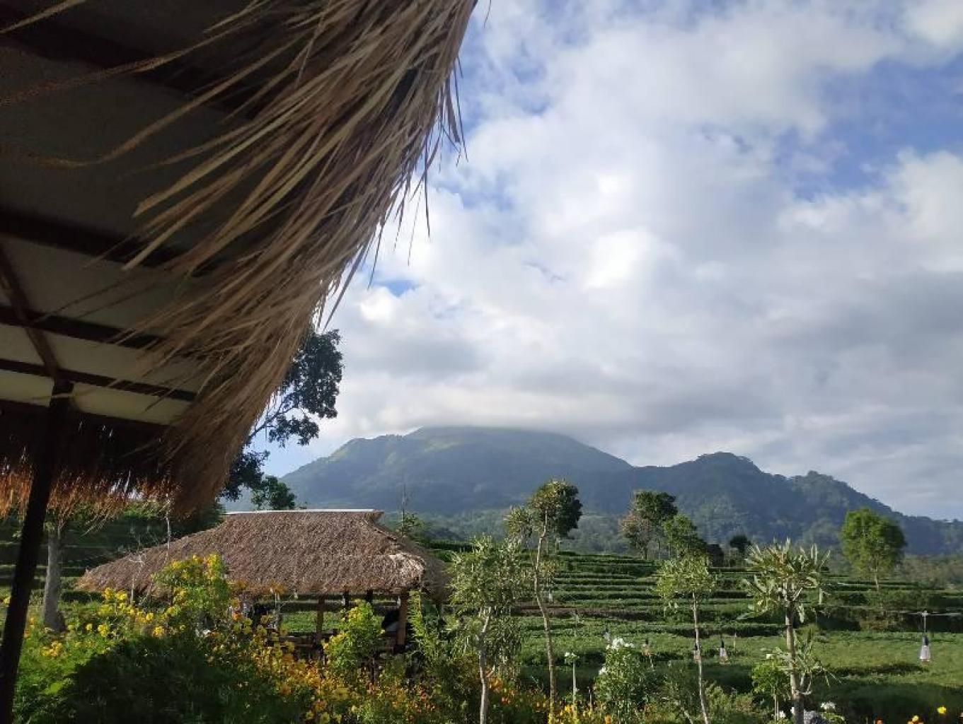 Kesiman
