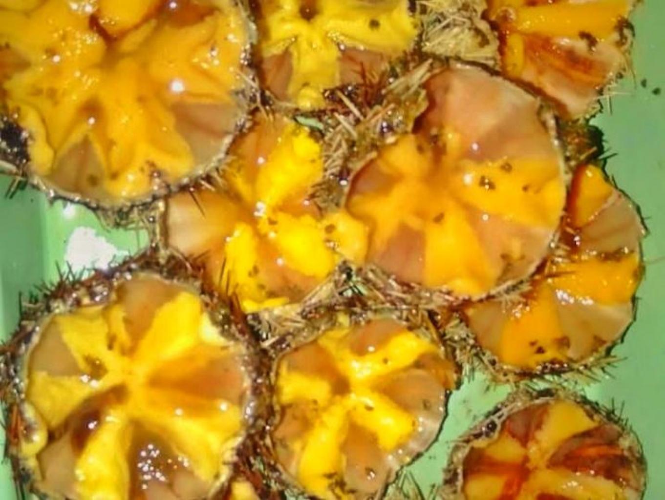 Dolu Kati'i