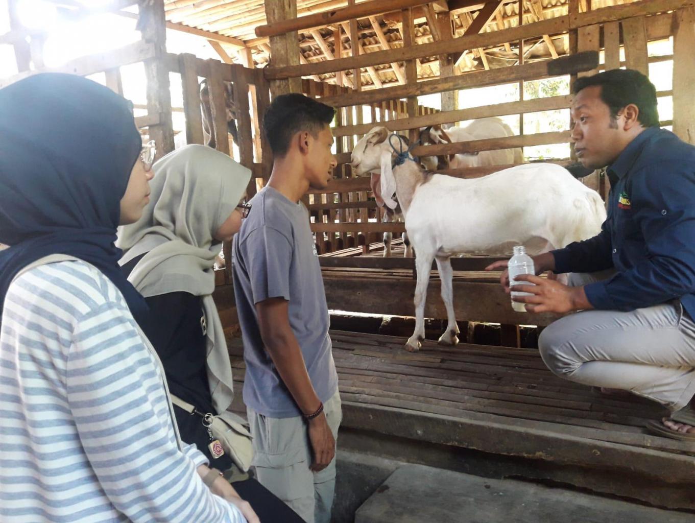 Wisata Edukasi Peternakan