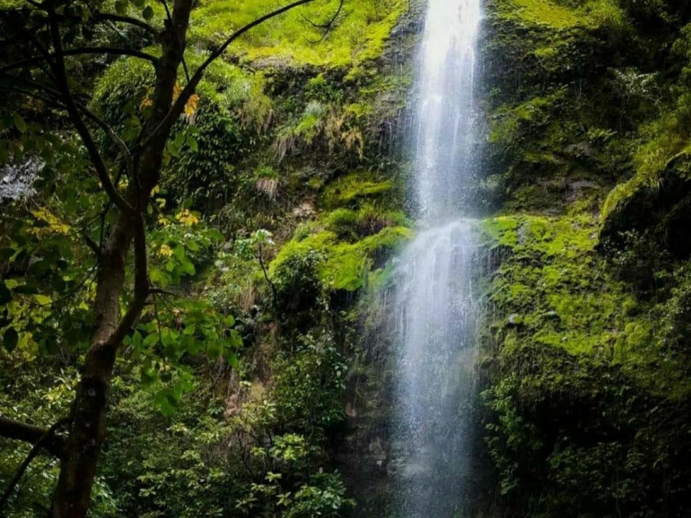 Uluwae