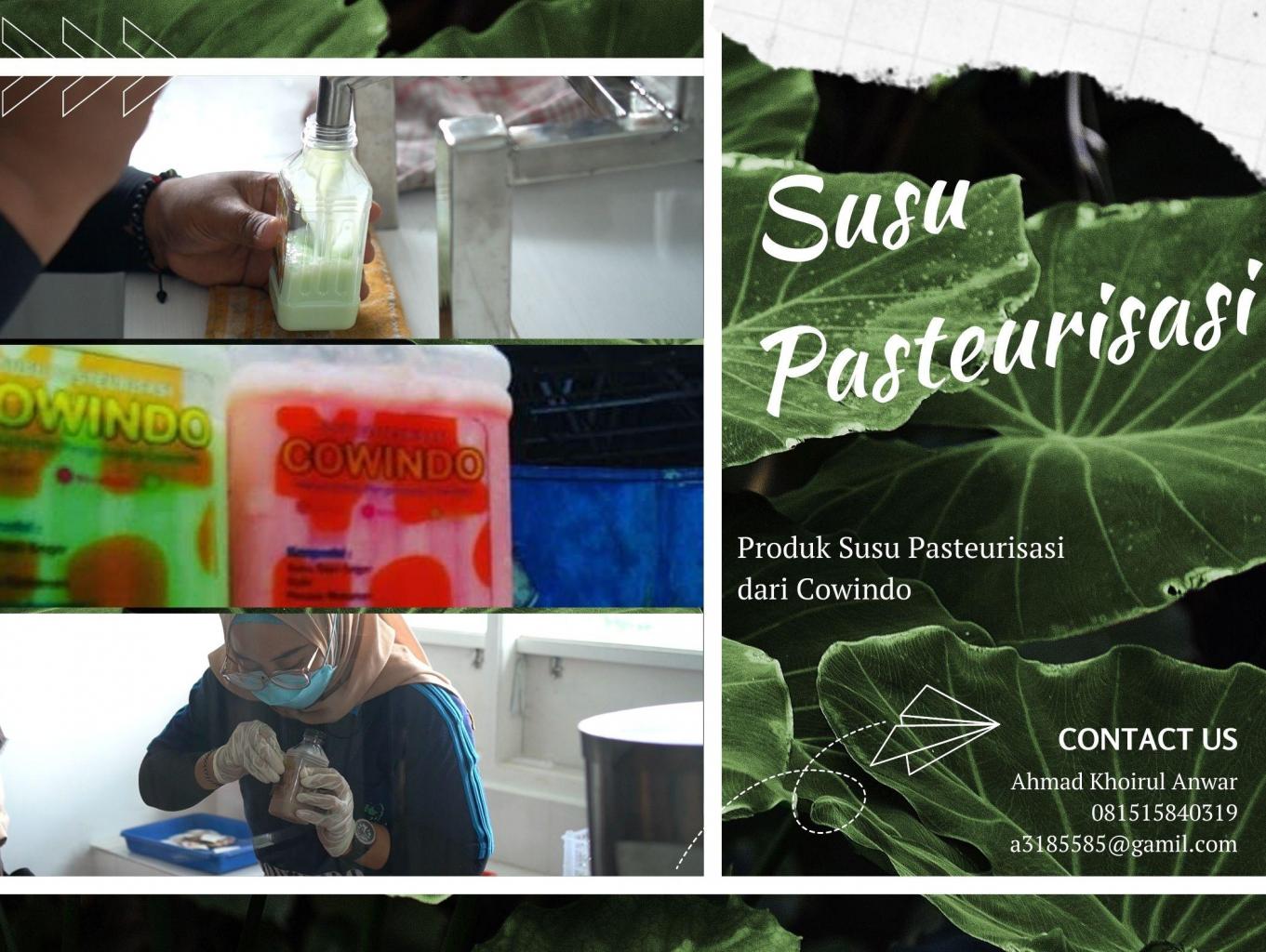 Susu Pasteurisasi