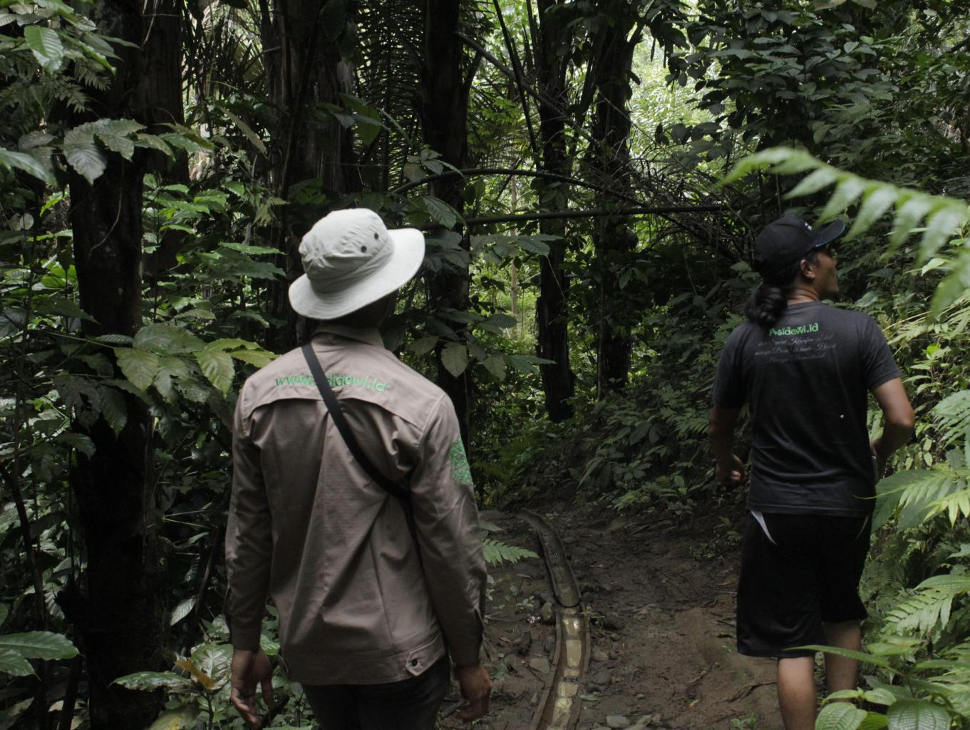 Trekking Kebun Kopi