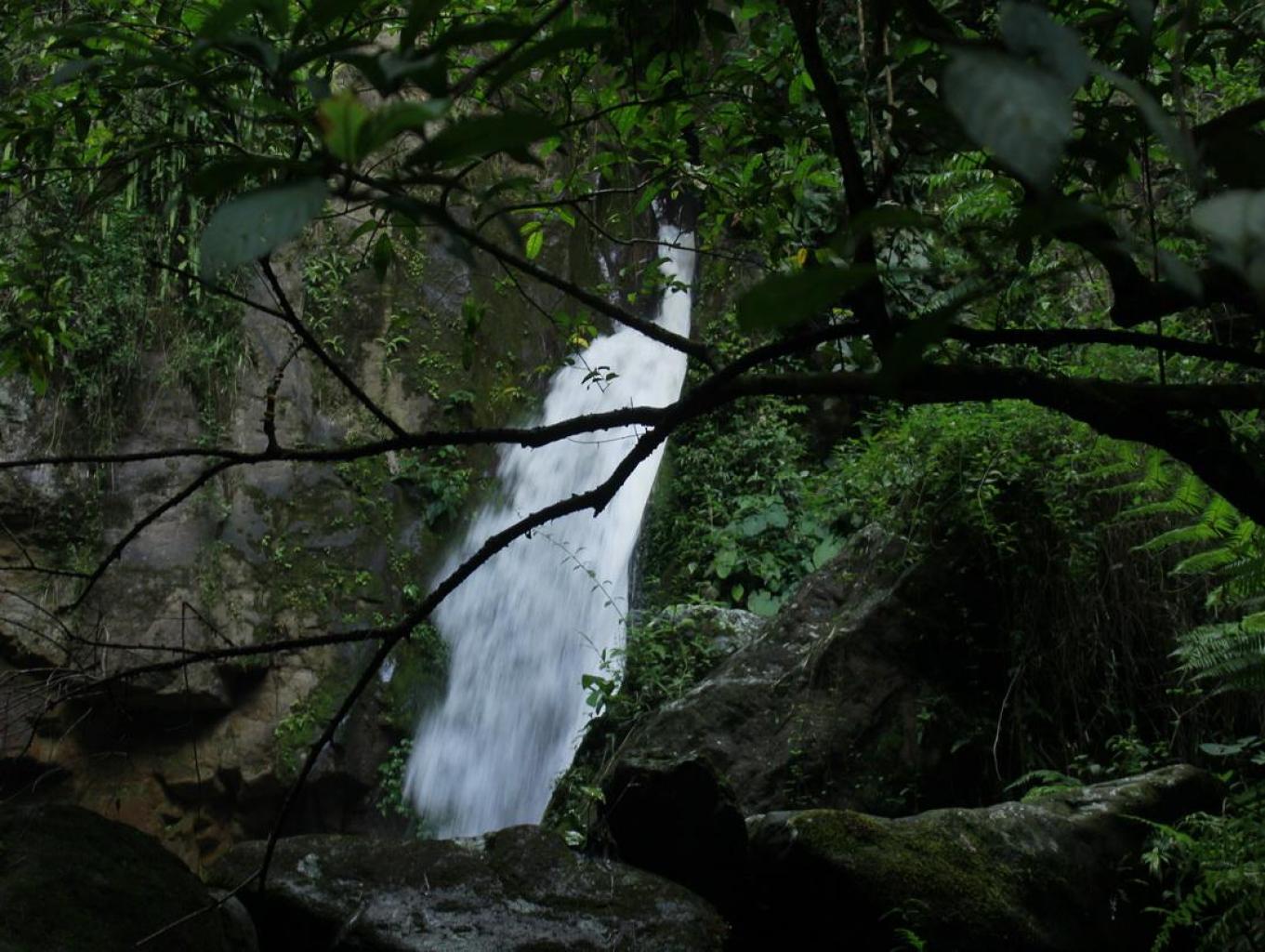 Air Terjun Tedung Sakti