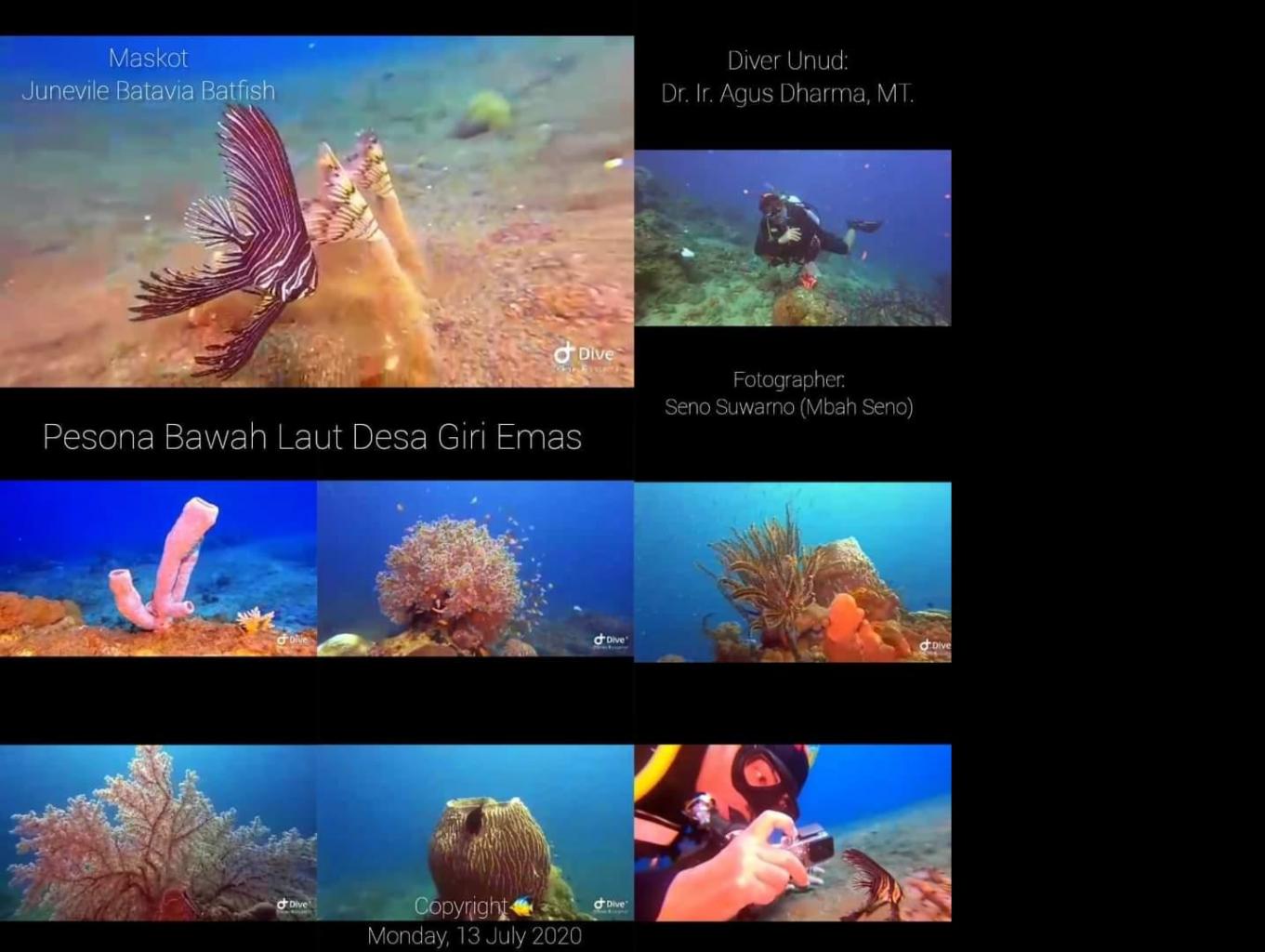 Diving Kaang Rungka, Roras, Jambul