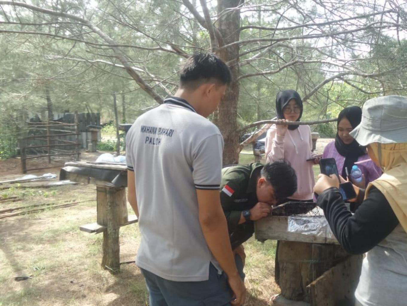 Wisata Madu Kelulut