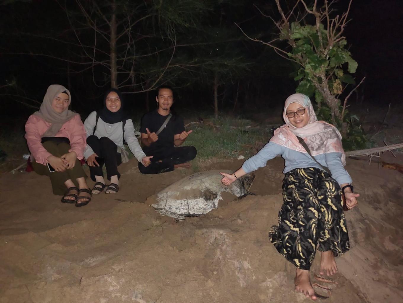Atraksi Wisata Penyu Bertelur Tanjung Api