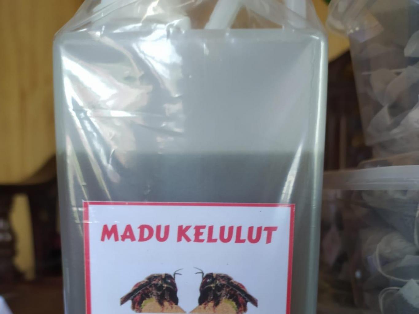 Madu Kelulut