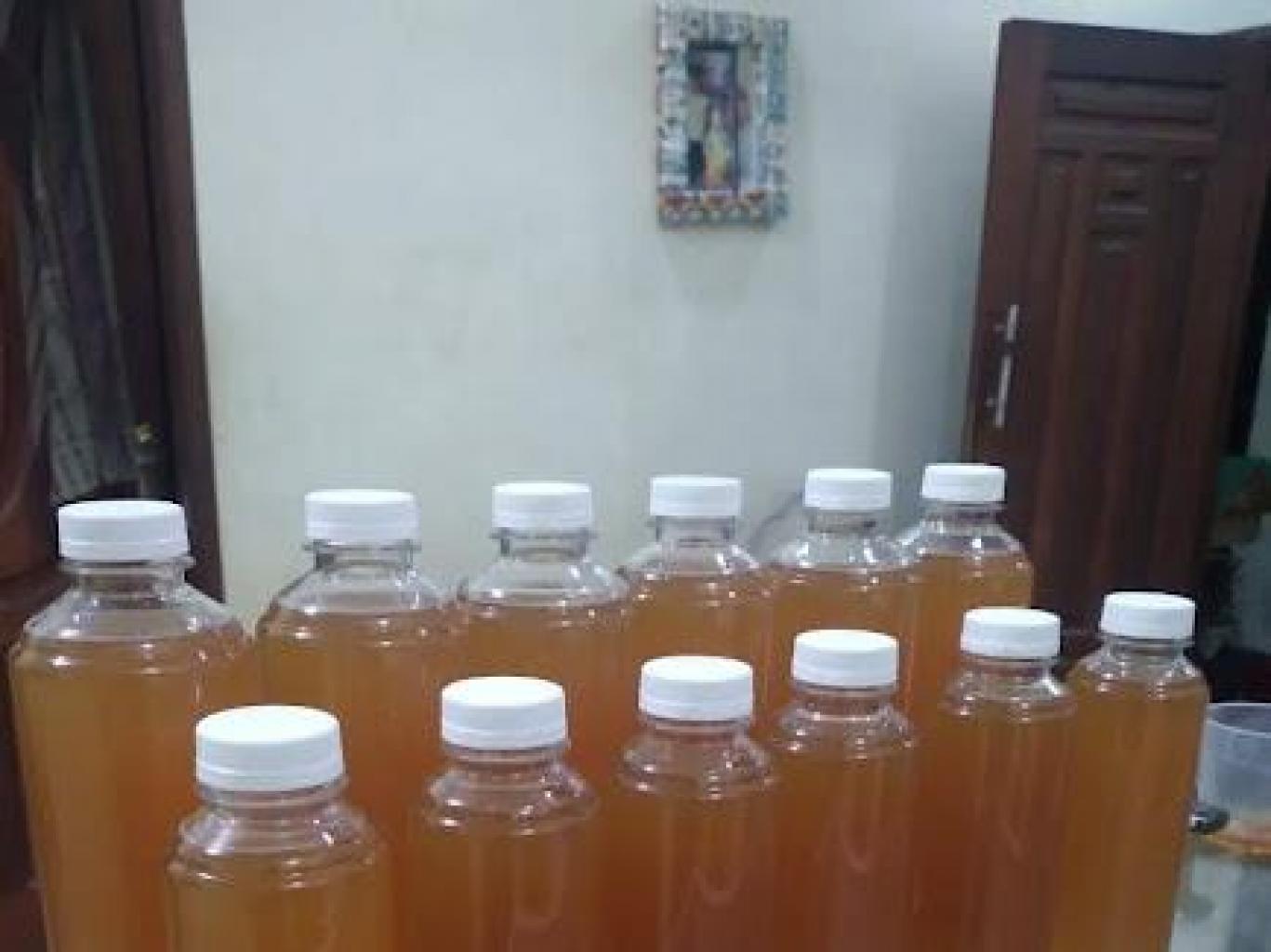 Madu Lebah Trigona