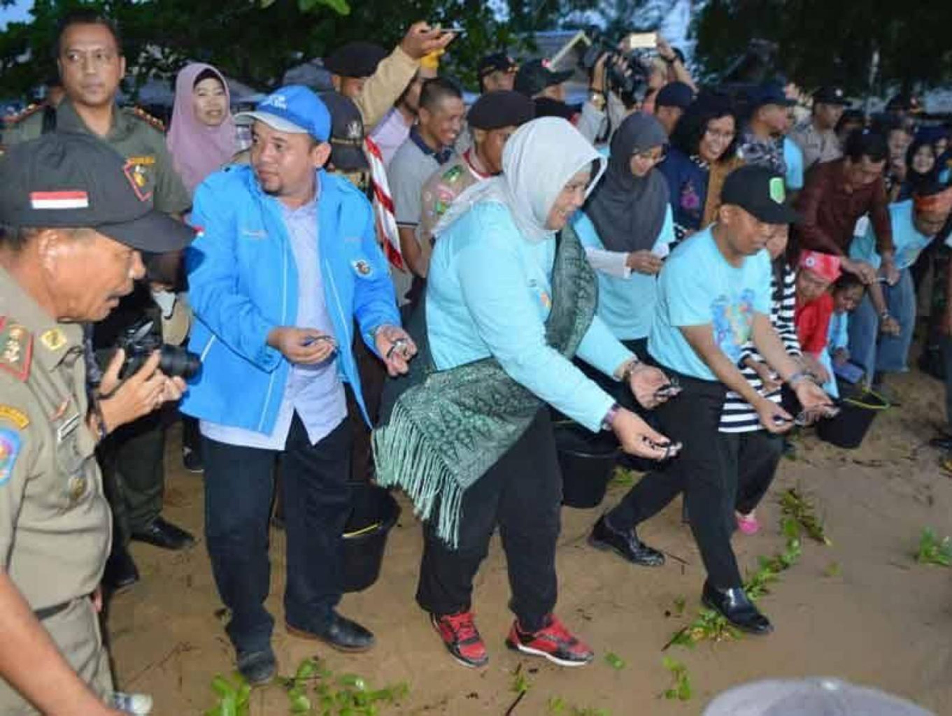 Festival  Perang Telur Penyu