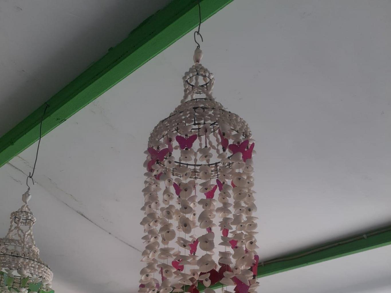 Pungling Kerang Dara