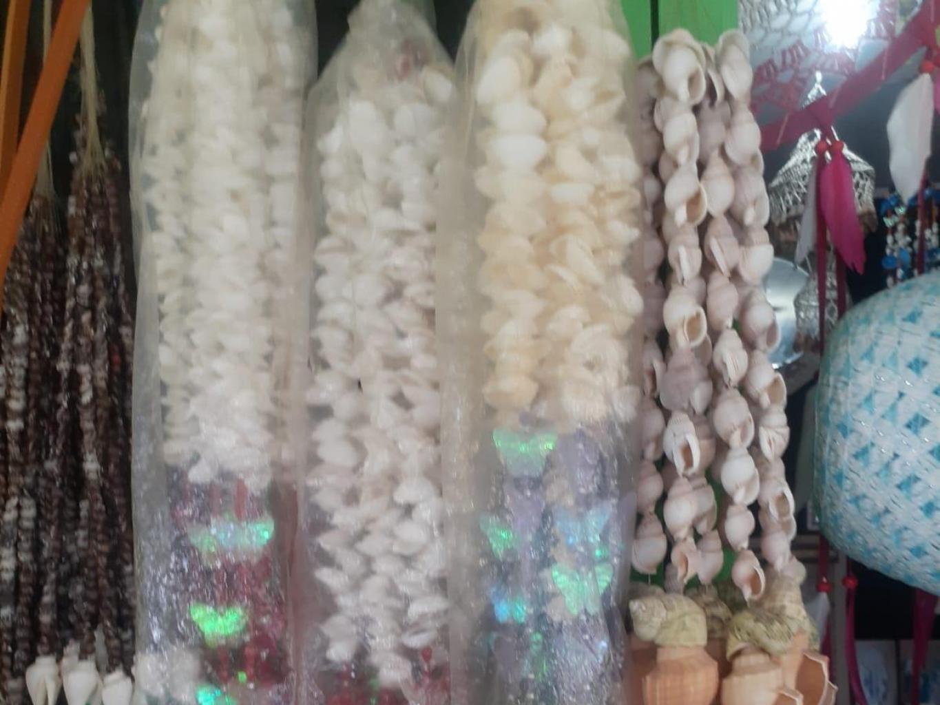 Tirai Kerang Dara