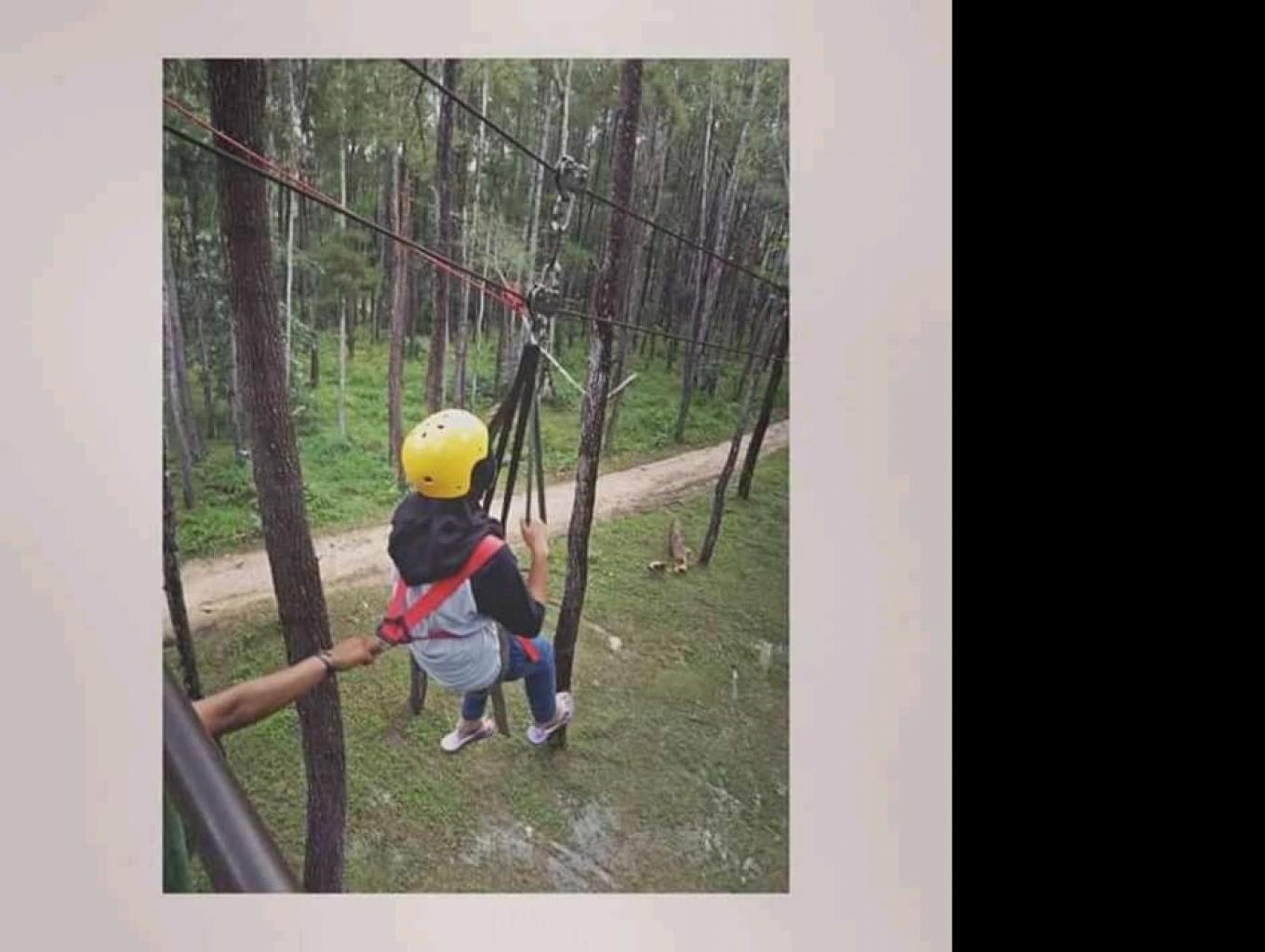 Flying Fox