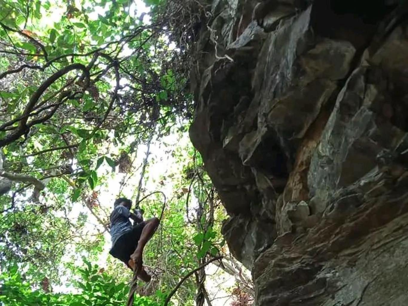 Atraksi Rock Climbing