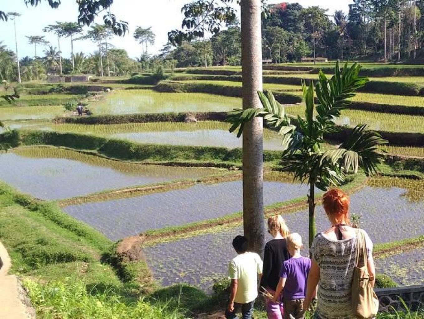 Soft Trekking Around Tetebatu
