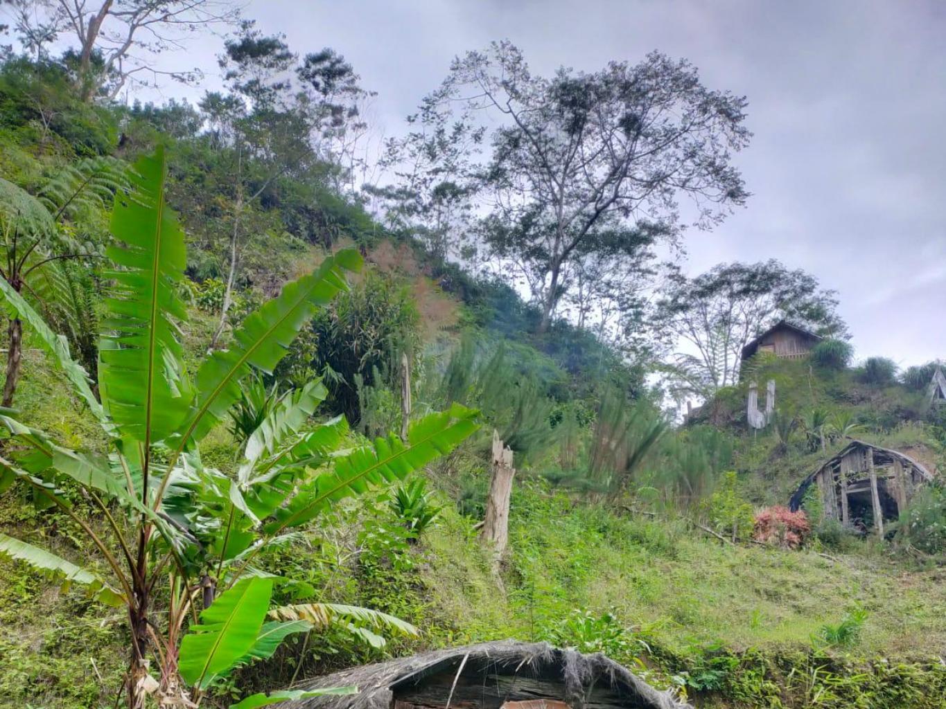 Rumah Hobbit
