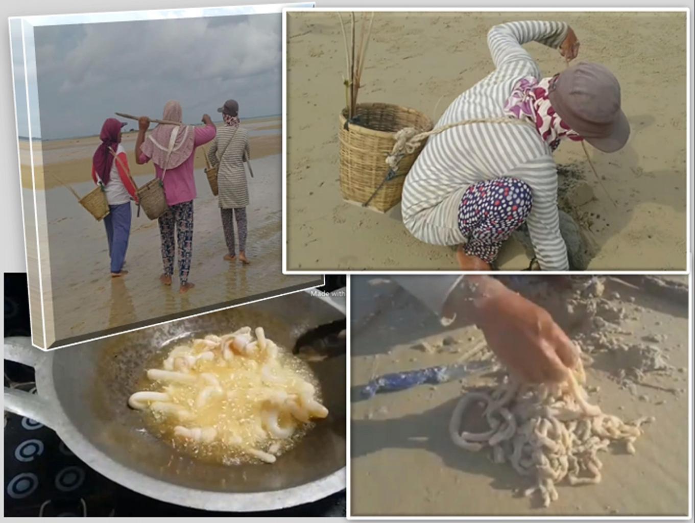 Nyucuk Wak Wak (cacing Laut)
