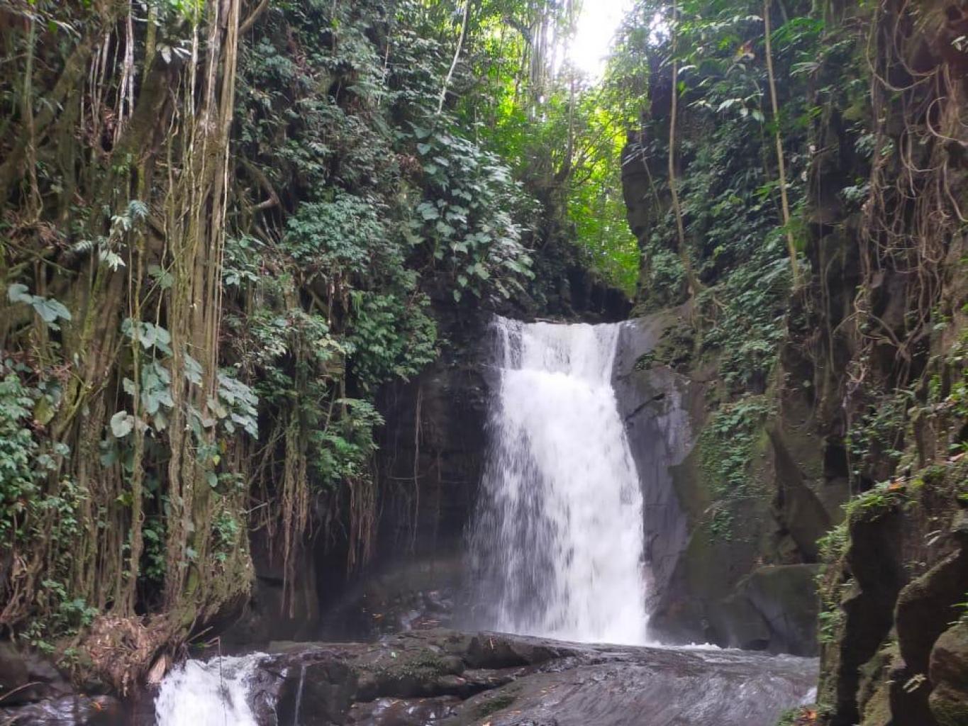 Curup Cungkoh