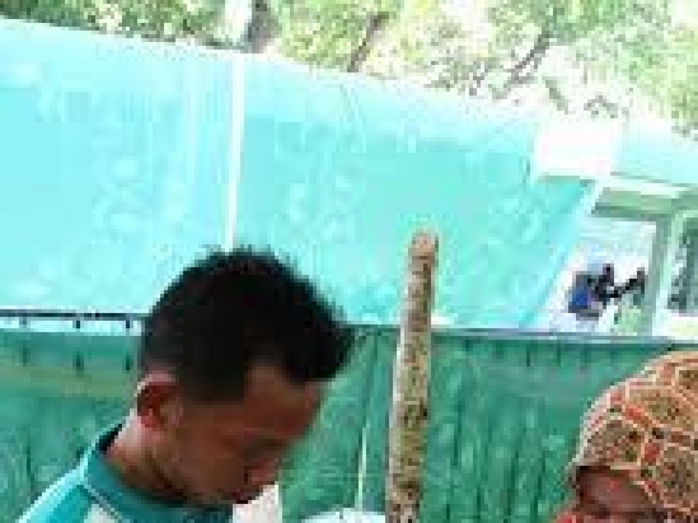 Kayu Balakka