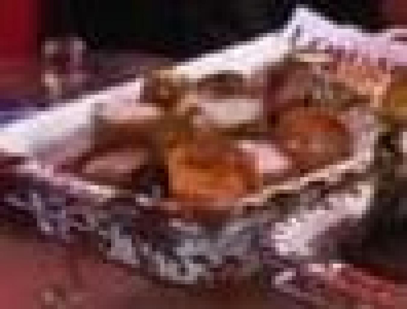 Lamang Tapai