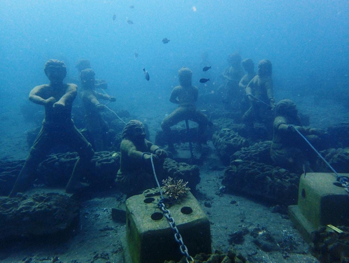 Wisata Konservasi Bawah Laut