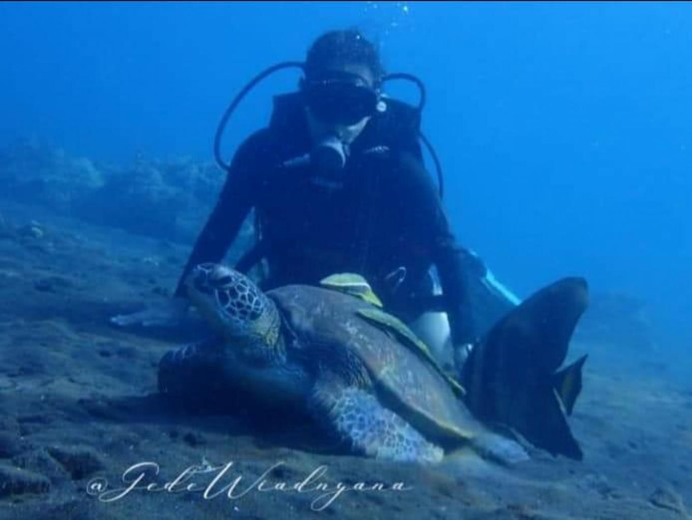 Diving
