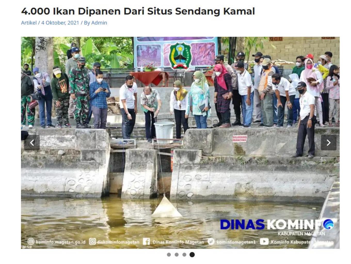 Panen Raya Ikan Sendang Kamal Maospati