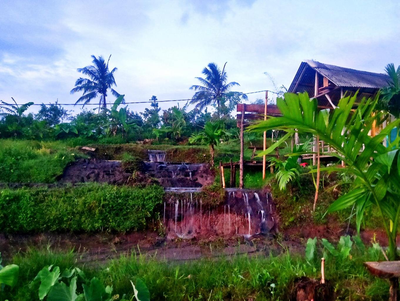 Alam Bukit Lestari