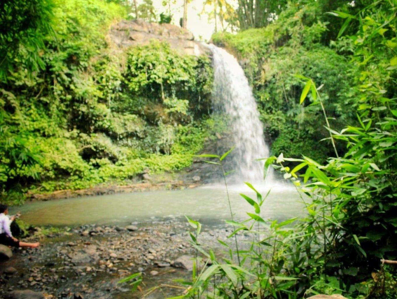 Jungle Trekking 