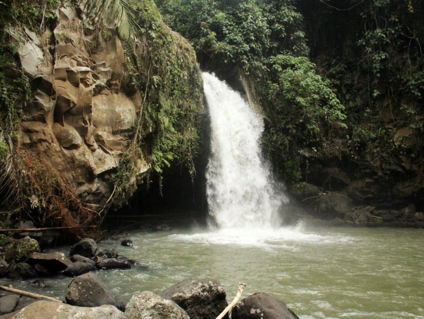 Jungle Trekking 