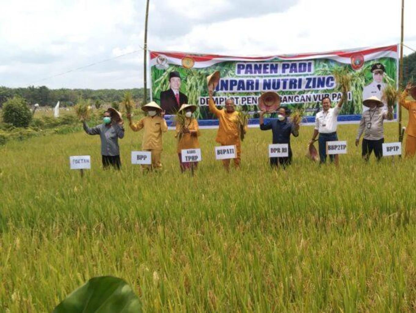 Hari Ulang Tahun Desa (Sedekah Bumi)/ Panen Raya