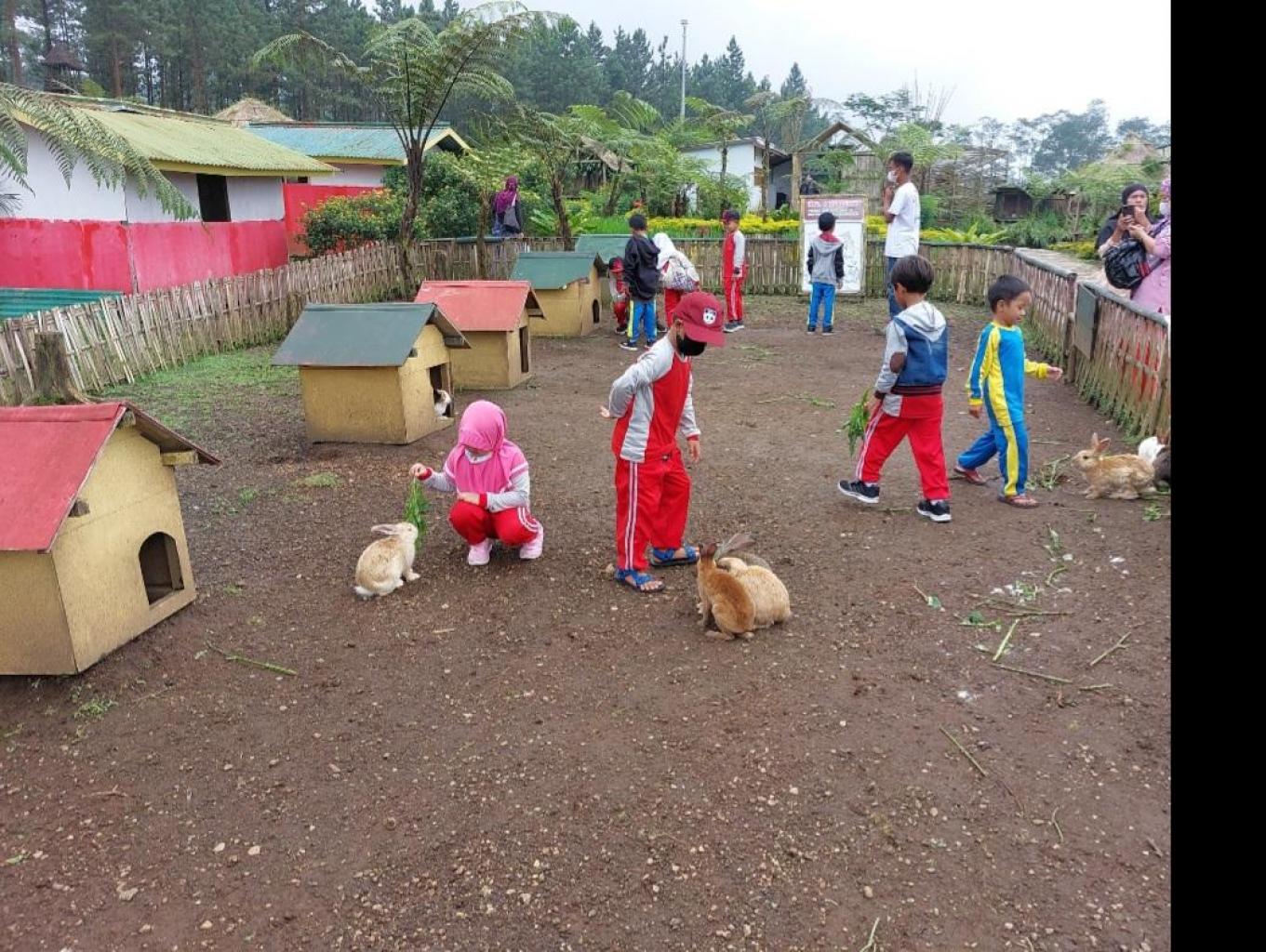 Taman Kelinci