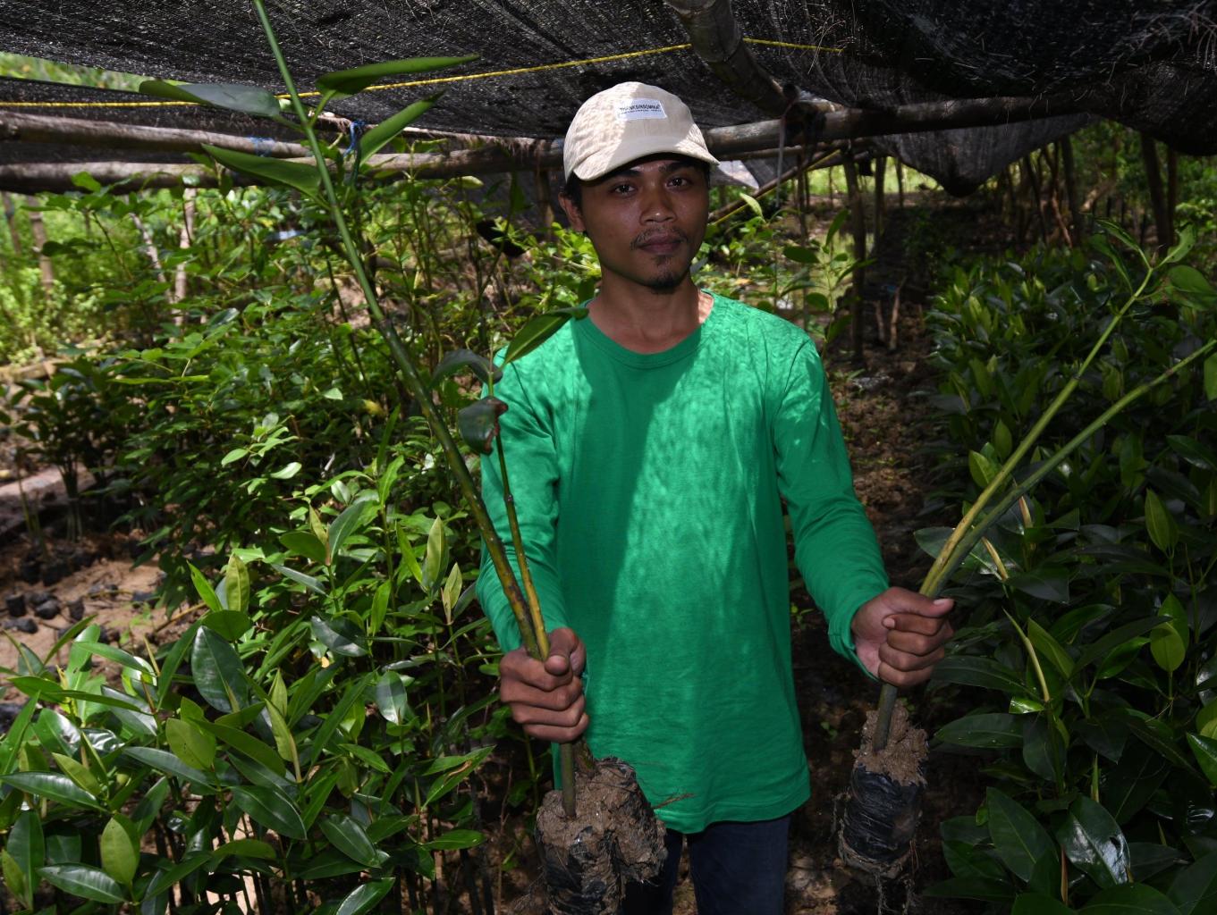 Nandur Mangrove ( Edukasi Alam Tentang Mangrove)
