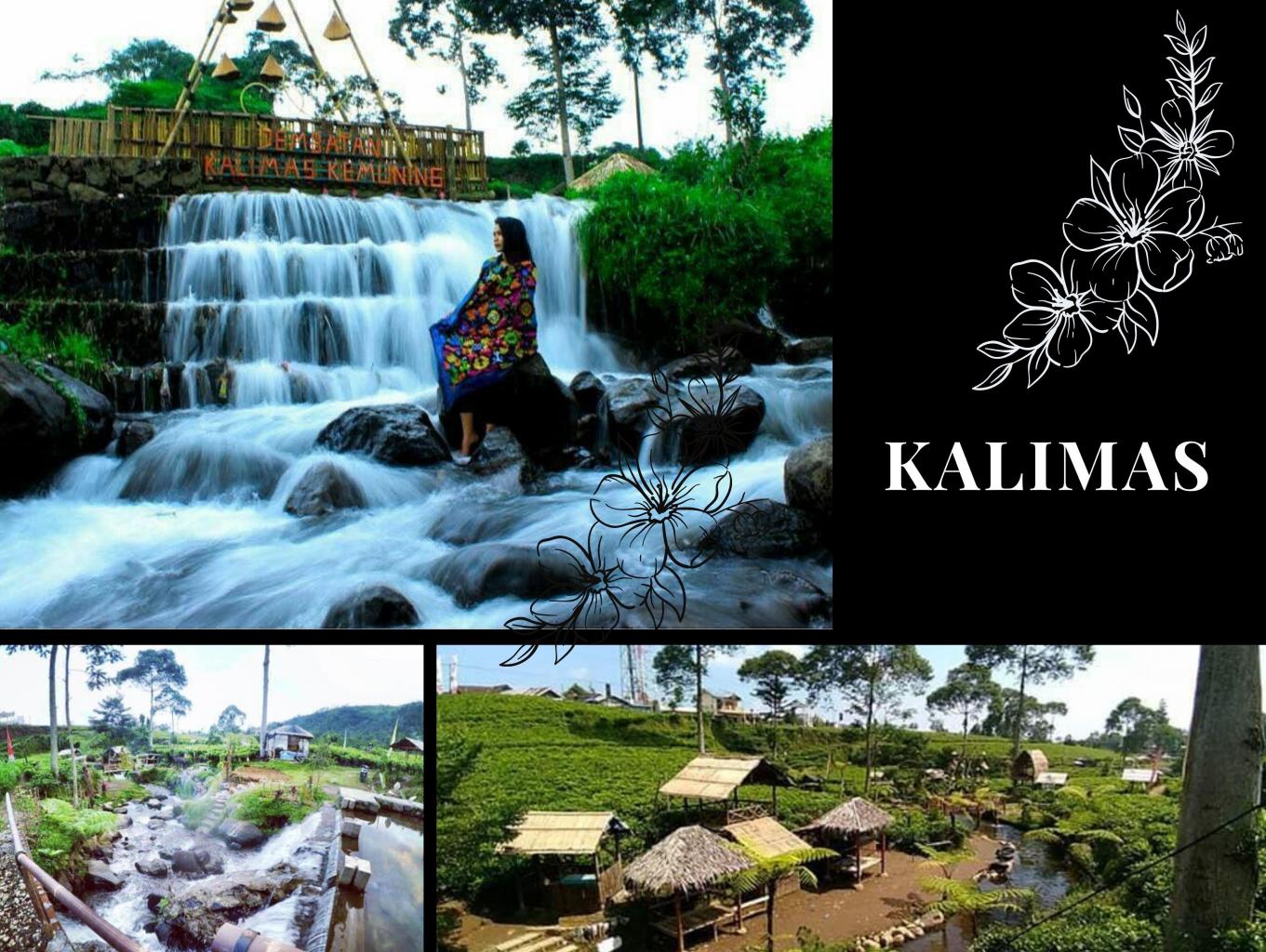 Kalimas Kemuning