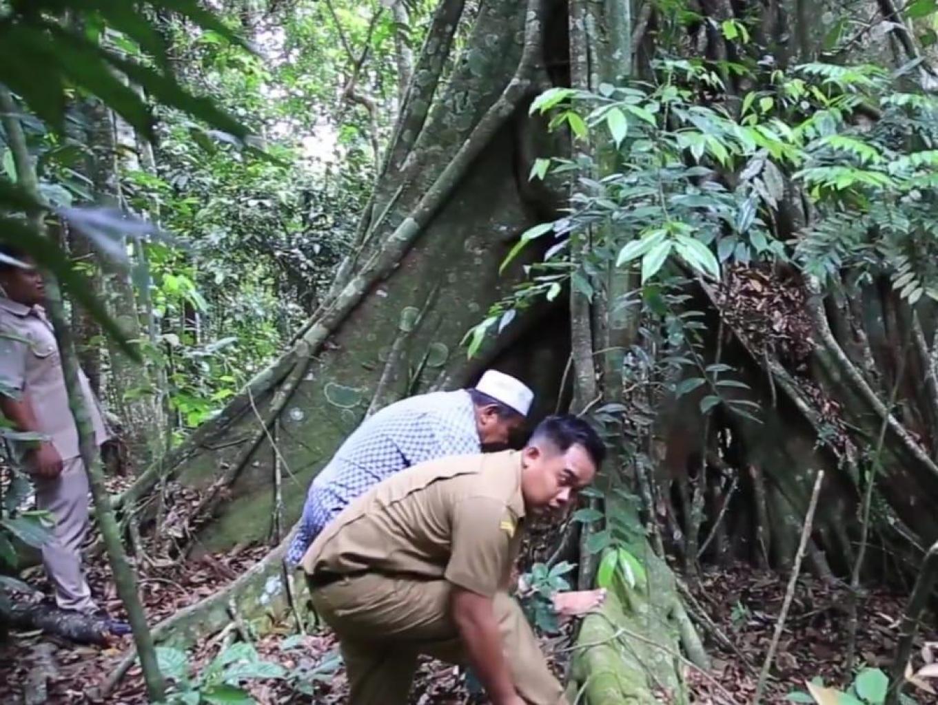 Jelajah Hutan Adat Rimbo Tolang dan Rimbo Ubau Koto Besar