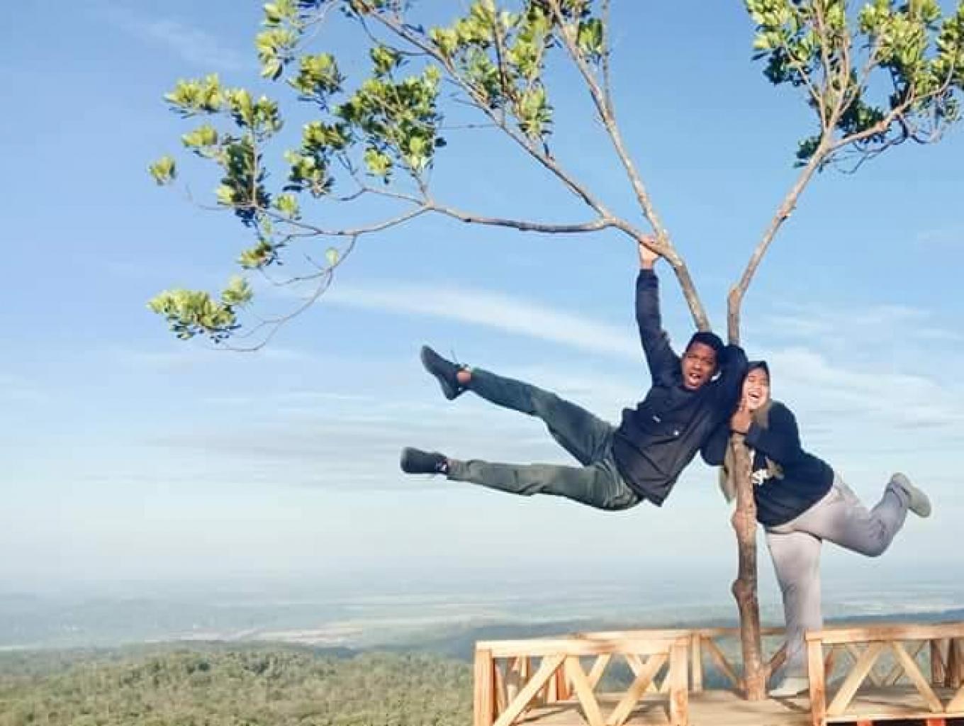 Teras Pohon