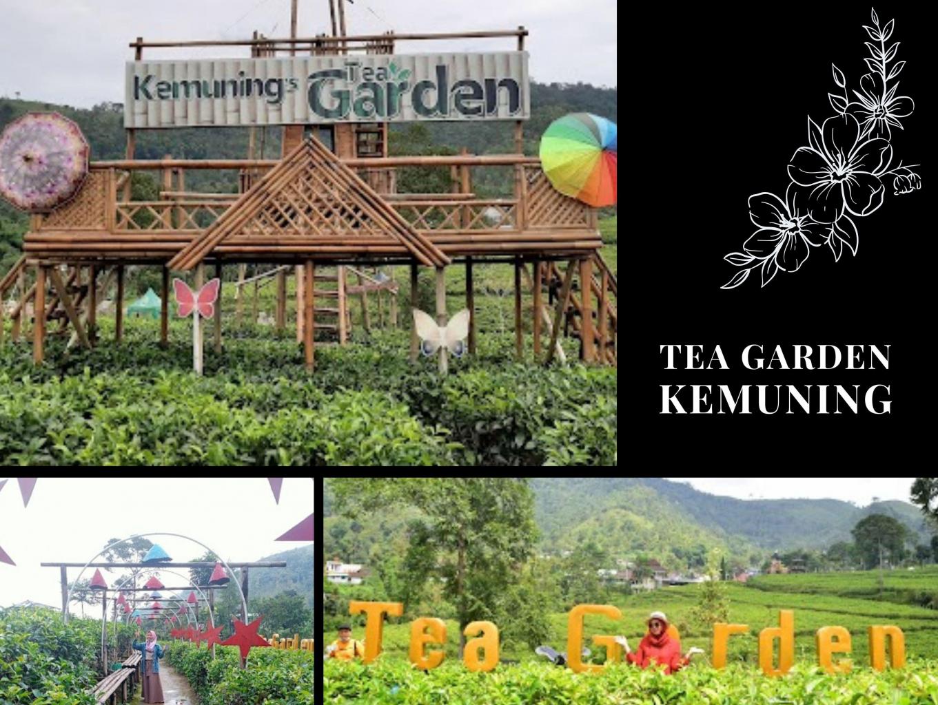 Tea Garden