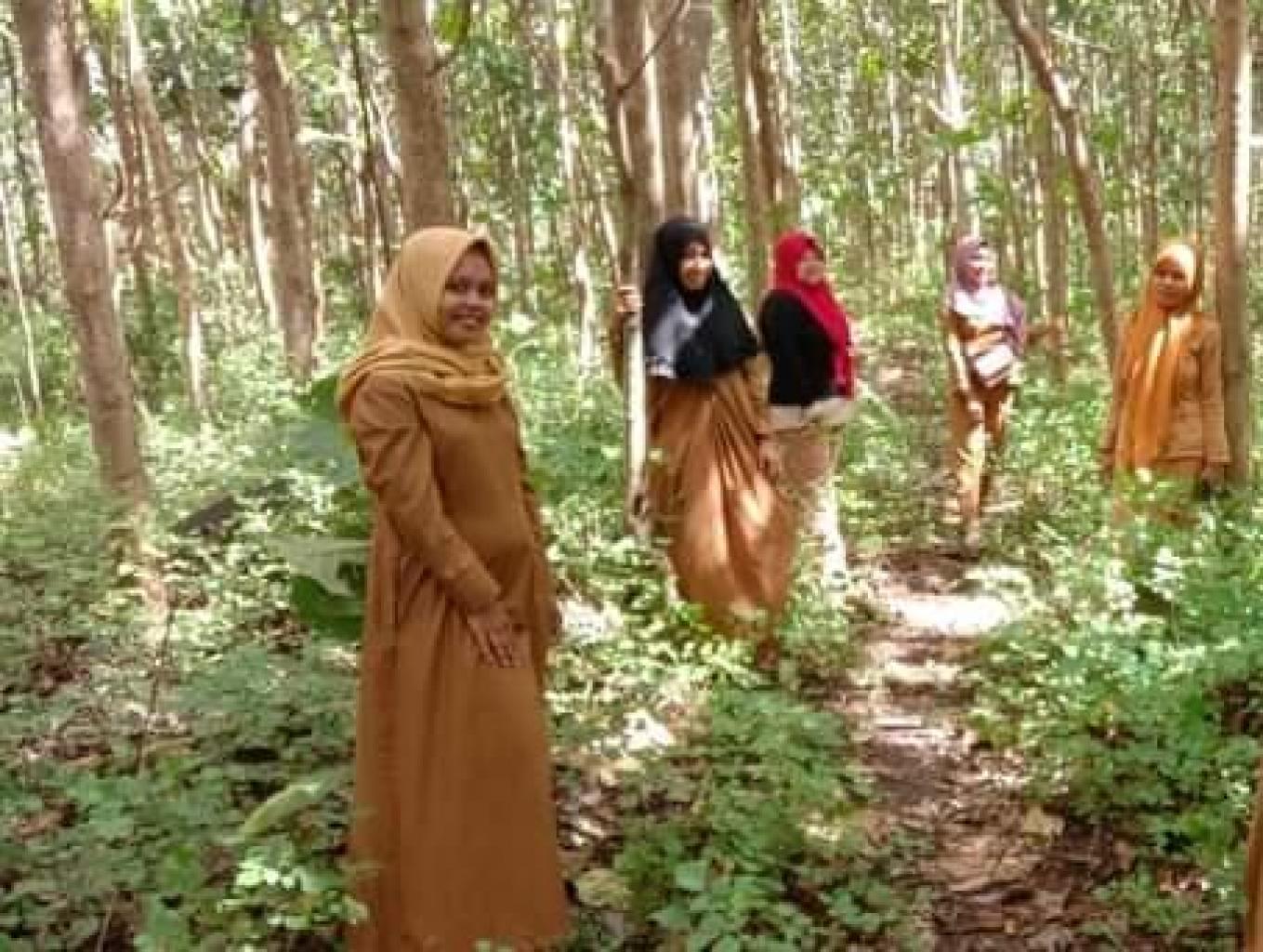 Hutan Lindung