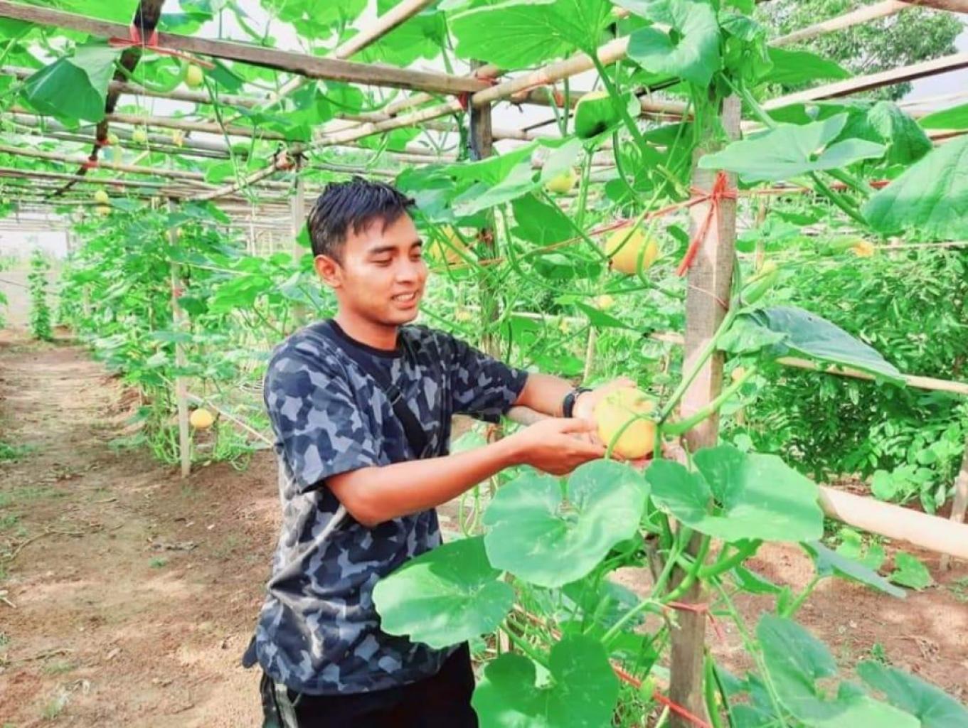 Memetik Buah Dan Sayur