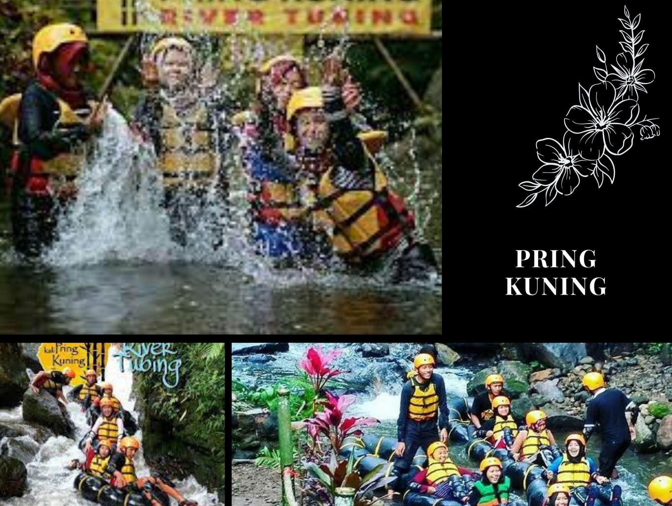 Tubing Pring Kuning