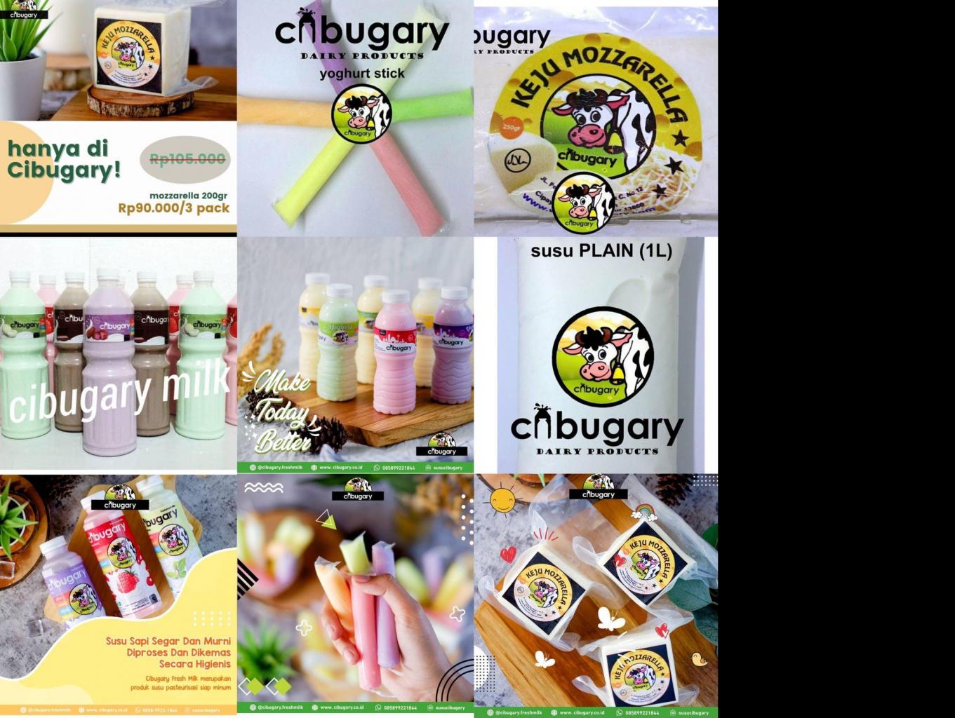 Susu Segar Murni, Susu Pasteurisasi, Yoghurt, Keju Mozarella