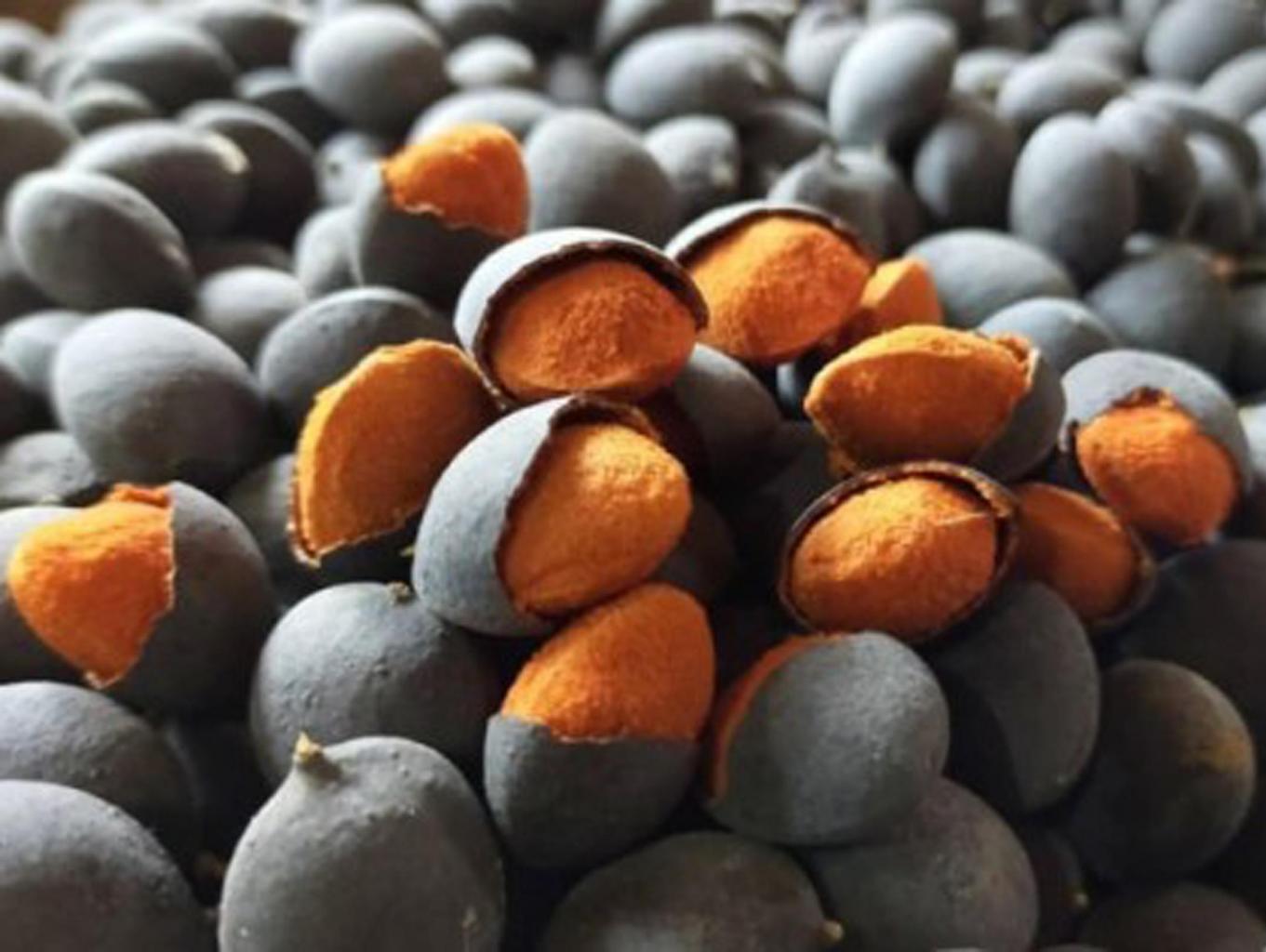 Nyire Keranji (membuat Manisan Buah Keranji)