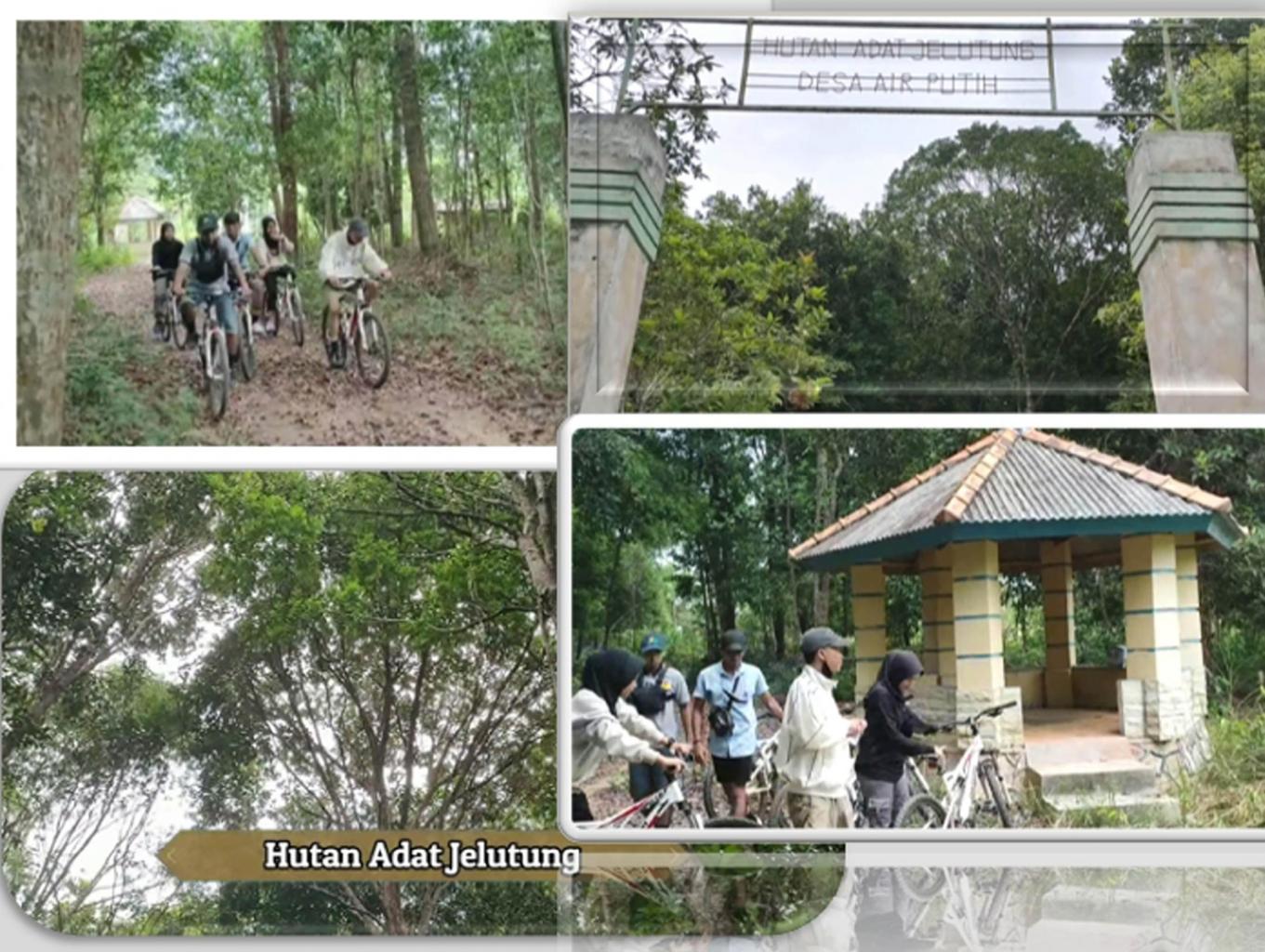 Jelajah Hutan Adat (exploring The Traditional Forest)