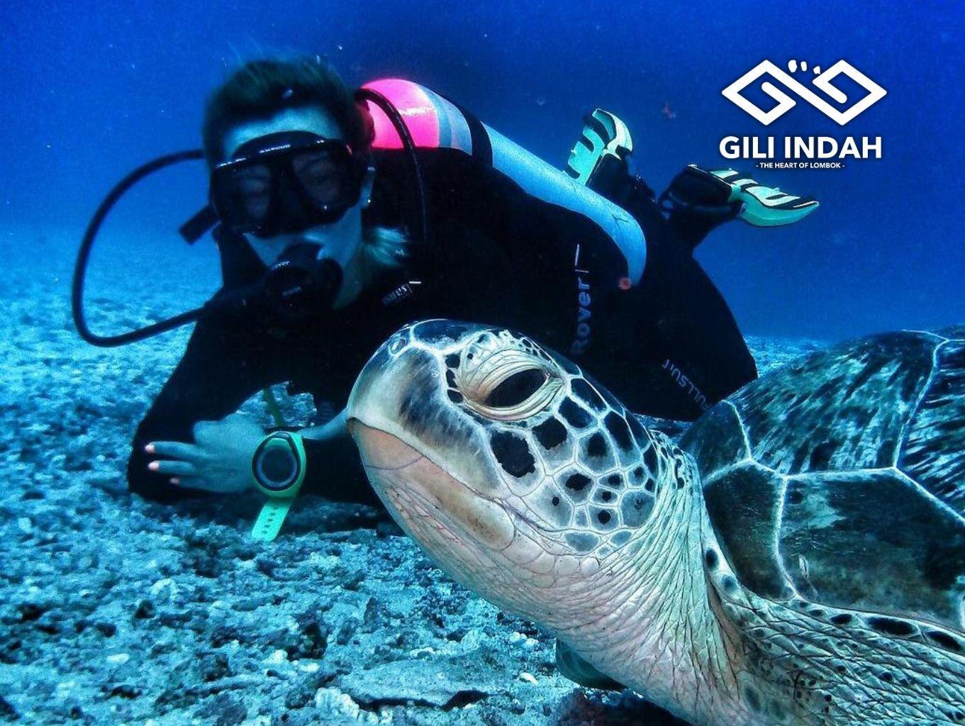 Wisata Selam (Diving)