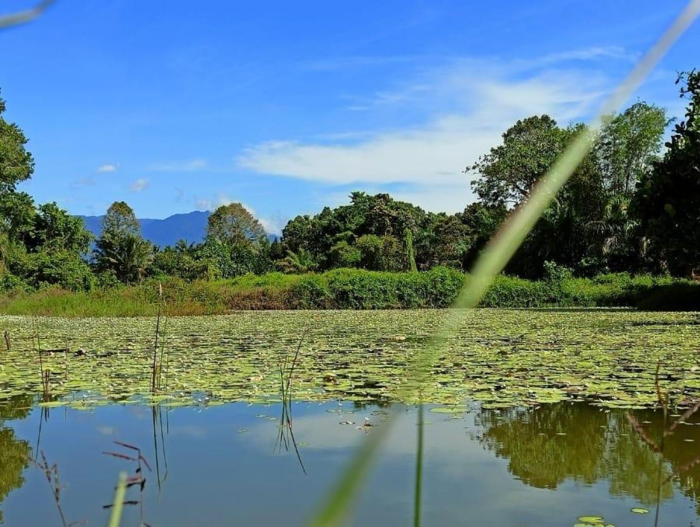 Kolam Pemancinga Salo' Pappoto'