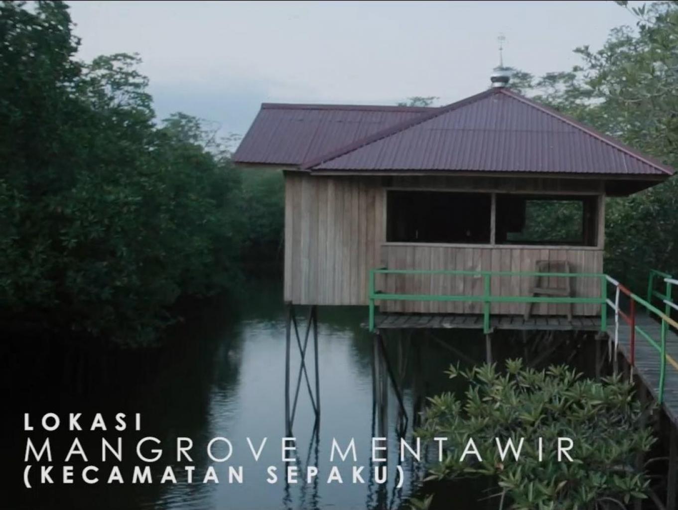 Wisata Mangrove