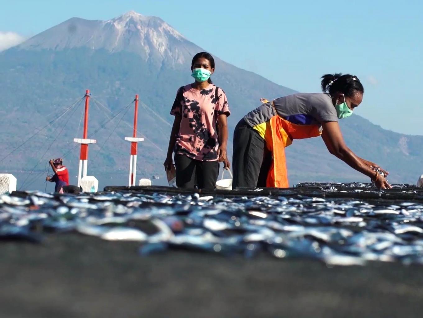 Proses Produksi Prodak Teri Hadakewa