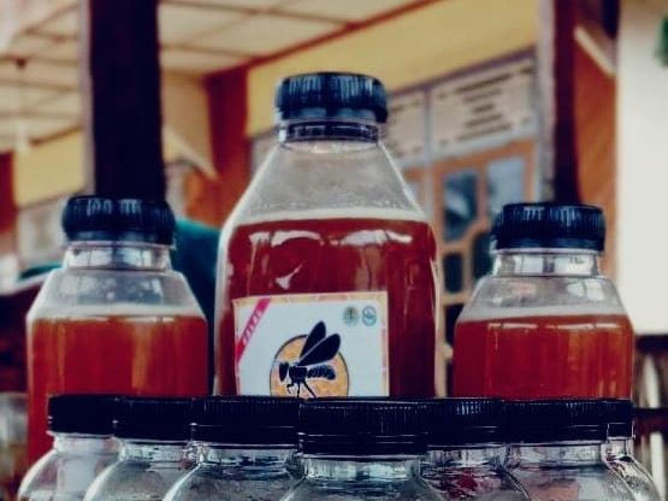 Madu Trigona Tolang