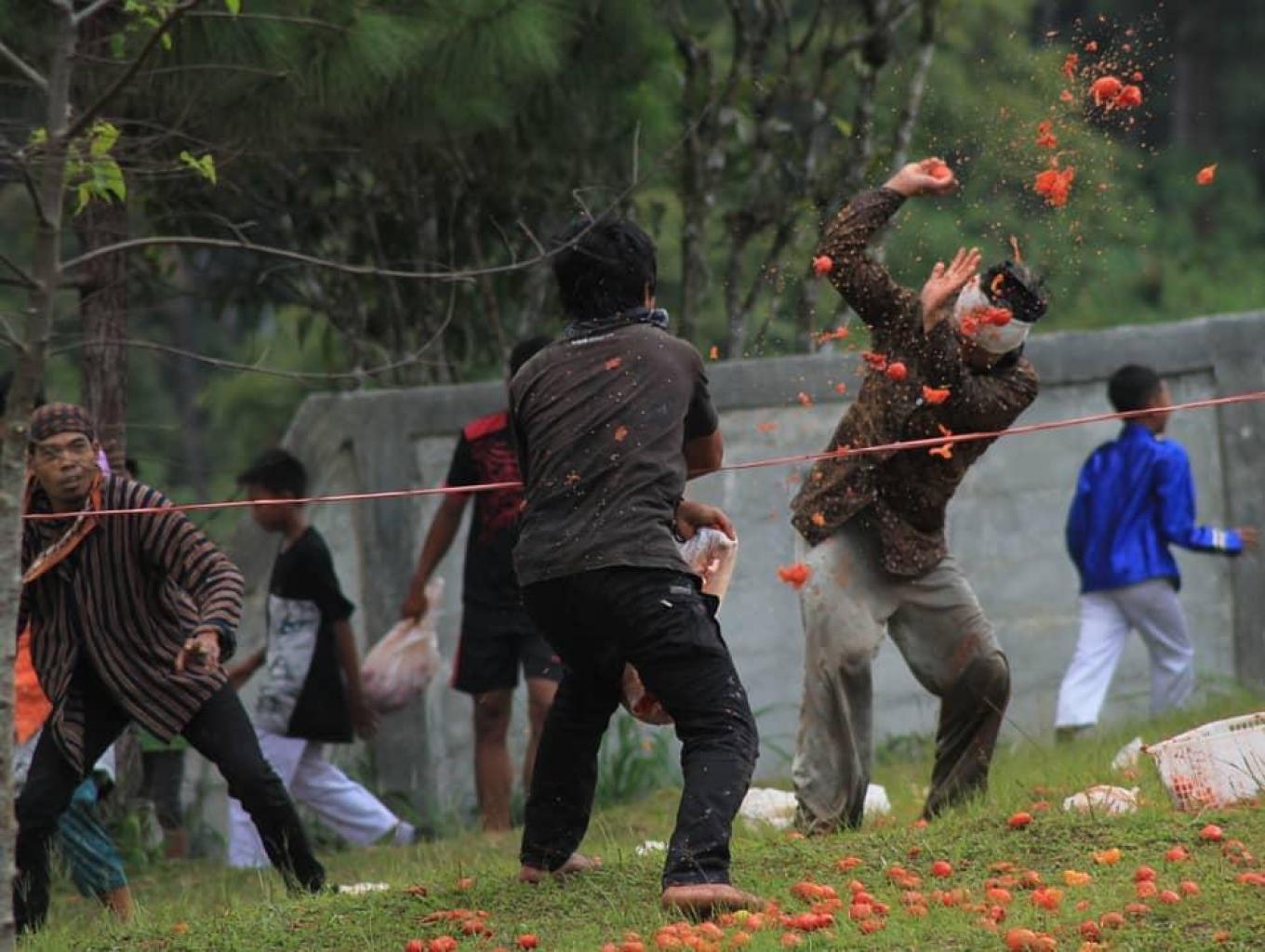 Perang Tomat