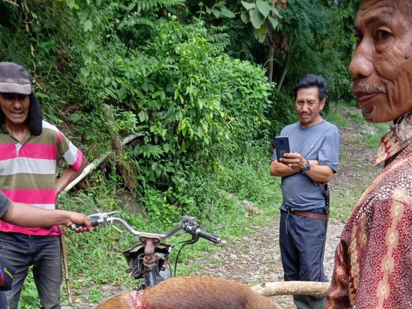 Ammurang Babi